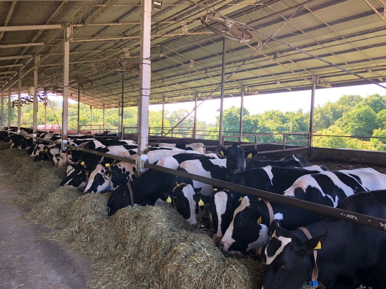 ファーマーズホールディングス離農数、供給不足の現状と課題 後継者不足と原乳不足を補うには 経済リポートWEB版