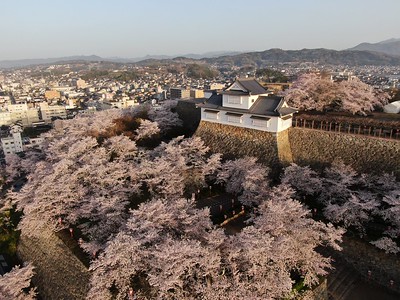 津山市まちじゅう博物館構想策定「屋根のない博物館」 経済リポートWEB版